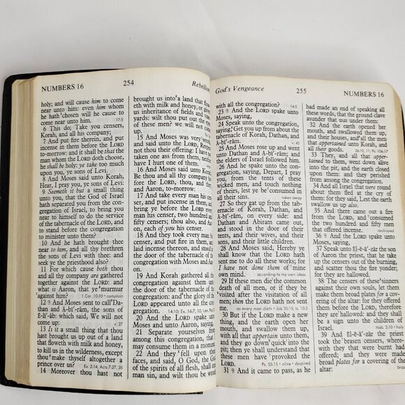 Regency Holy Bible Giant Print King James Version Concordance Red Letter 883 - Picture 6 of 7
